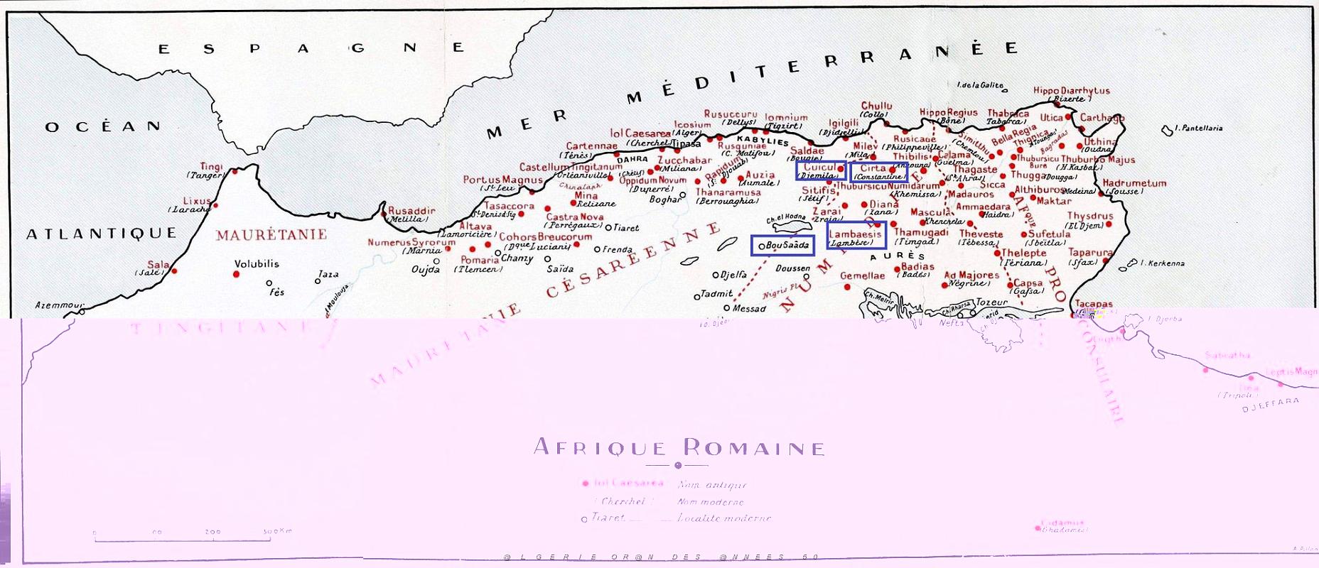 1- AFN  Romaine.jpg